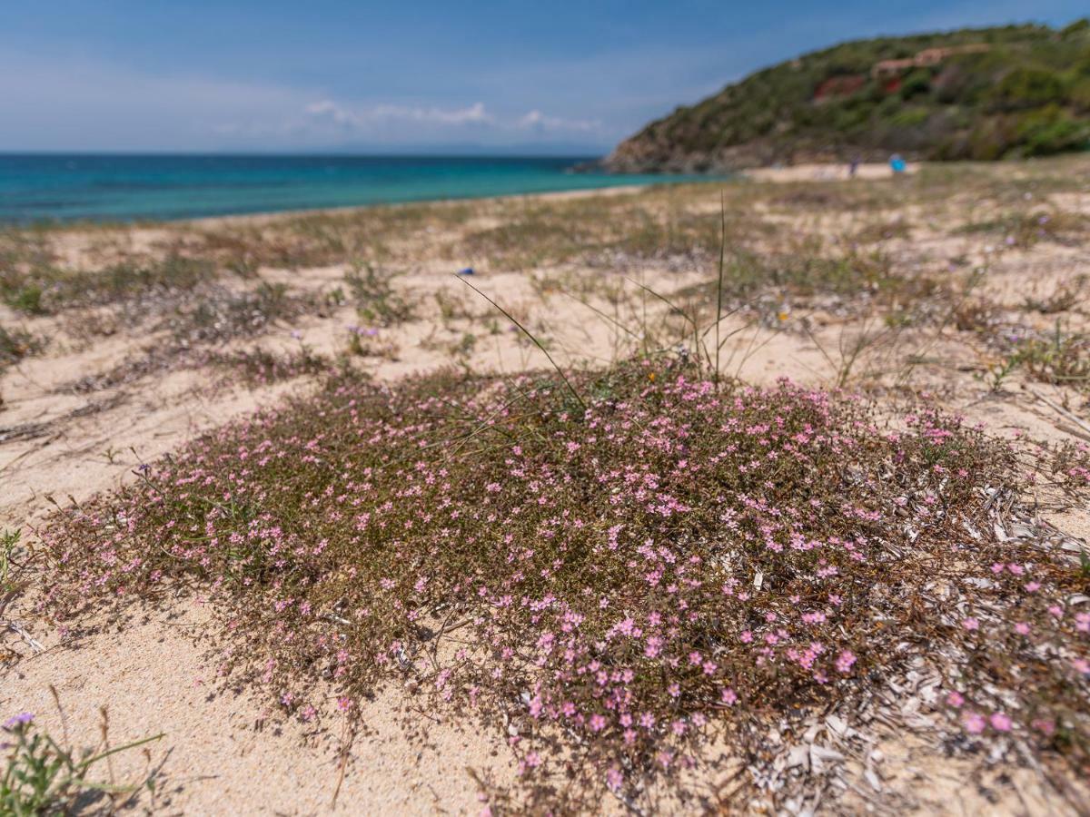 Sardinia Spa Apartment Geremeas Luaran gambar